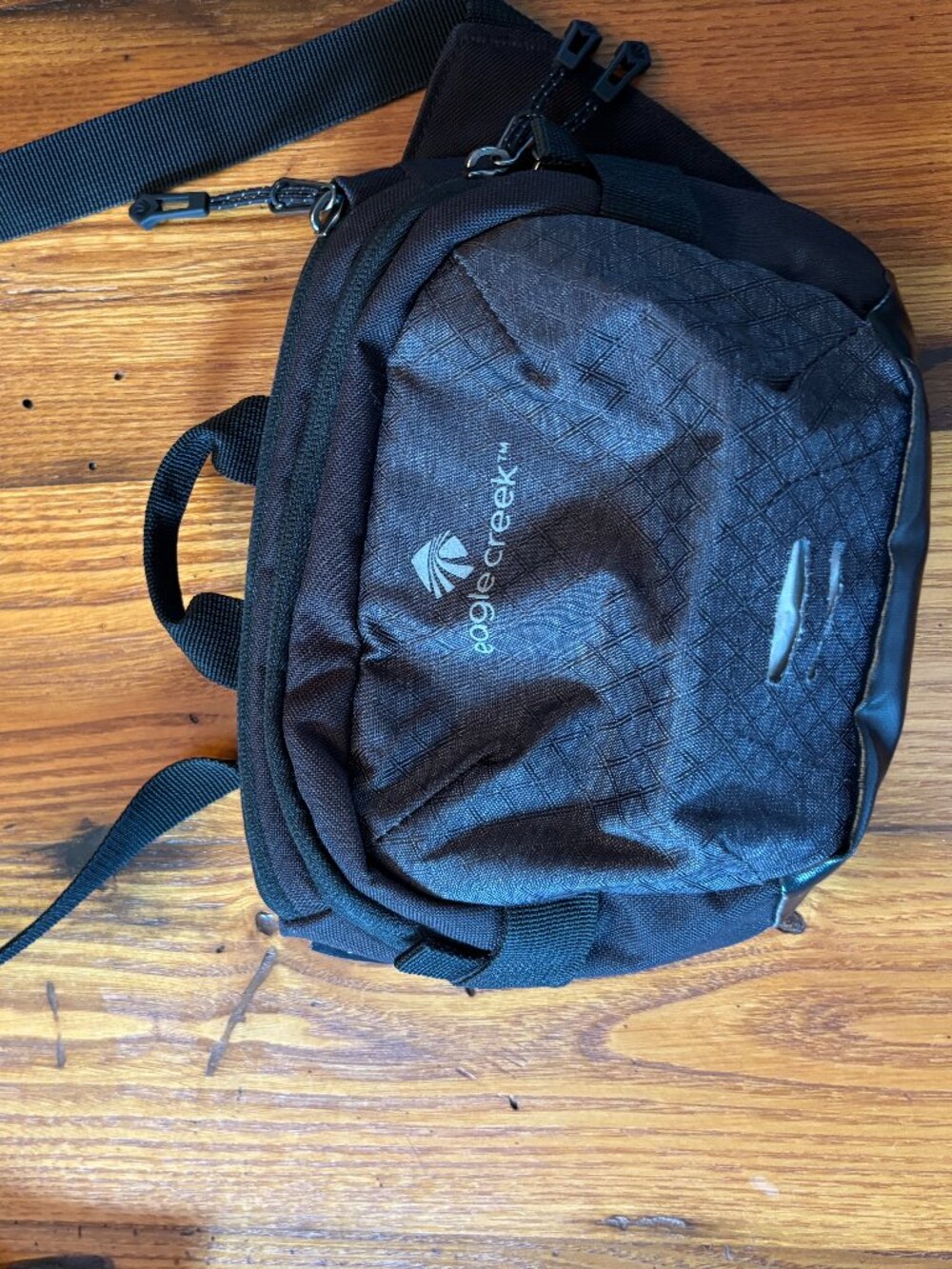 Eagle creek waist pack